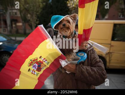 Un dimostratore è visto tenere il suo cane mentre tiene le bandiere spagnole durante la celebrazione della Giornata del Patrimonio ispanico a Pamplona. Mentre la seconda ondata della pandemia del coronavirus colpisce la Spagna con alti livelli di infezioni, Il partito di estrema destra spagnolo VOX ha invitato gli spagnoli a manifestare contro il governo spagnolo in occasione della Festa nazionale della Spagna, dopo le ultime restrizioni nel paese per combattere la diffusione della pandemia del coronavirus. Foto Stock