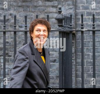 Londra, Regno Unito. 12 Ott 2020. Jane Eddleston, consulente presso il Manchester University Hospitals NHS Foundation Trust, lascia 10 Downing Street London UK Credit: Ian Davidson/Alamy Live News Foto Stock