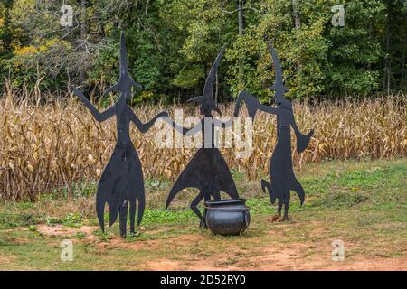 Tre streghe di legno nero con un calderone decorazione di Halloween a. l'ingresso del labirinto di mais con i boschi spooky sullo sfondo in autunno Foto Stock