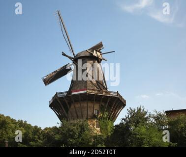 Mulino a vento nel parco del palazzo estivo di Sanssouci a Potsdam. Stato Brandeburgo. Germania Foto Stock