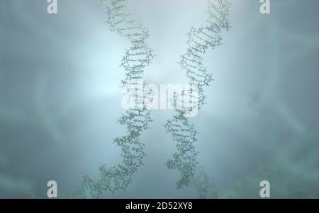 Il DNA è una molecola e una doppia elica che porta istruzioni genetiche per lo sviluppo, il funzionamento, la crescita e la riproduzione di tutti gli organismi noti.