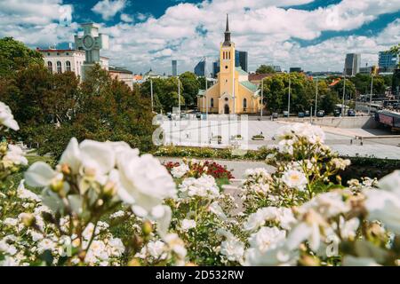 Tallinn, Estonia. Chiesa di San Giovanni Jaani Kirik Al giorno d'estate e di sole. Grandi Luterana Chiesa Parrocchiale a Tallinn dedicata a San Giovanni Evangelista, di Foto Stock