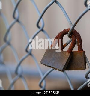 Due serrature d'amore intrecciate su una recinzione zincata a Steveston British Columbia Canada Foto Stock