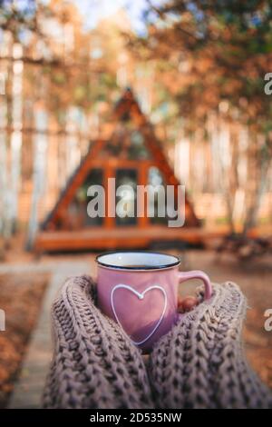 Tazza calda di tè che scalda le mani della donna in pullover di lana sullo sfondo di casa accogliente Foto Stock