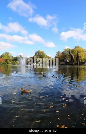 Colori autunnali intorno al West Boating Lake e al Pavilion Cafe, a Hackney, a est di Londra, Regno Unito Foto Stock