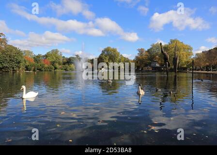 Colori autunnali intorno al West Boating Lake e al Pavilion Cafe, a Hackney, a est di Londra, Regno Unito Foto Stock