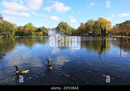 Colori autunnali intorno al West Boating Lake e al Pavilion Cafe, a Hackney, a est di Londra, Regno Unito Foto Stock