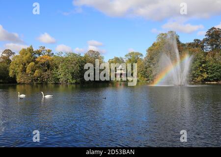 Colori autunnali intorno al West Boating Lake, a Hackney, a est di Londra, Regno Unito Foto Stock