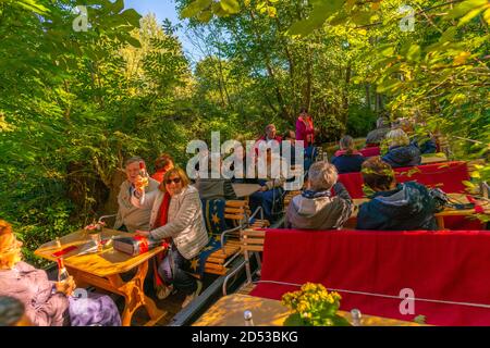 Tour in barca sui canali e sulle insenature attraverso la Spreewald o la Foresta Sprea, la comunità di Burg, il Brandeburgo, la Germania orientale, l'Europa Foto Stock