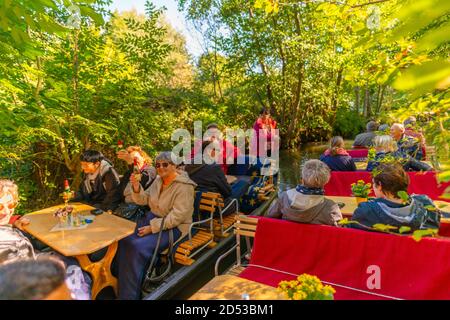 Tour in barca sui canali e sulle insenature attraverso la Spreewald o la Foresta Sprea, la comunità di Burg, il Brandeburgo, la Germania orientale, l'Europa Foto Stock