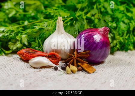 Coriandolo con cipolla, aglio e spezie indiane su un panno bianco Foto Stock