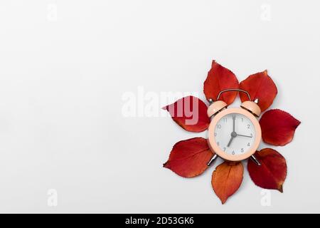 La sveglia si trova sulle foglie d'autunno Foto Stock
