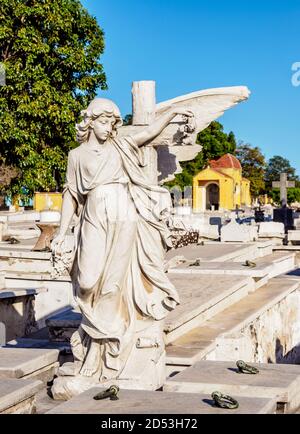 Necropoli Cristobal Colon, Vedado, l'Avana, Provincia la Habana, Cuba Foto Stock