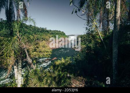 Brasile, Parana, Parco Nazionale delle Cascate di Iguassu (Cataratas do Iguacu) (Sito UNESCO Foto Stock
