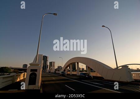 Brisbane, QLD, Australia - 3 Gennaio 2020 : William Jolly Bridge durante il tramonto. Il ponte è un ponte storico sul fiume Brisbane Foto Stock