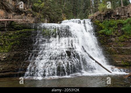 Ousel Falls Park Trail nella Custer Gallatin National Forest, Montana. STATI UNITI. Torna al concetto di natura. Foto Stock