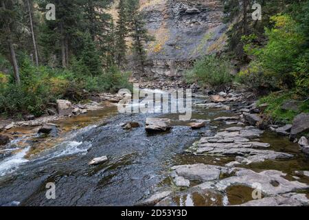 Ousel Falls Park Trail nella Custer Gallatin National Forest, Montana. STATI UNITI. Torna al concetto di natura. Foto Stock