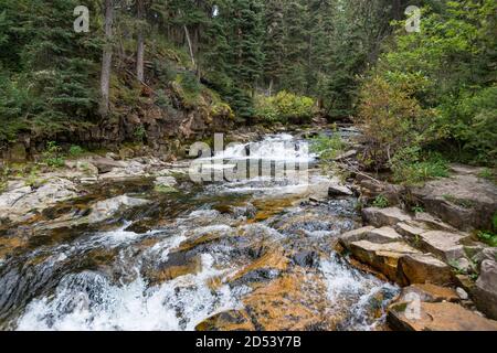 Ousel Falls Park Trail nella Custer Gallatin National Forest, Montana. STATI UNITI. Torna al concetto di natura. Foto Stock