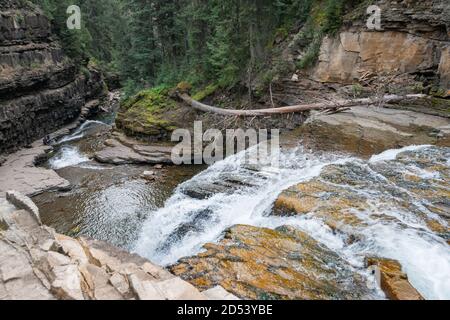 Ousel Falls Park Trail nella Custer Gallatin National Forest, Montana. STATI UNITI. Torna al concetto di natura. Foto Stock