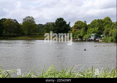 Uomini che nuotano nel 'Mens Pond', Hampstead Heath, highgate, Londra UK. Foto Stock