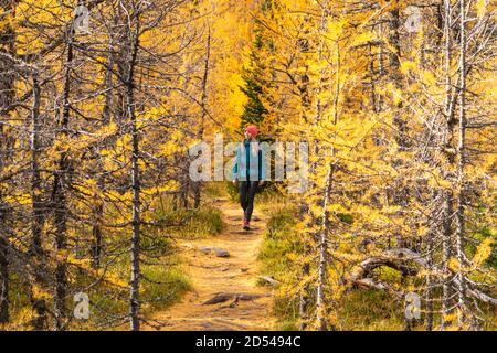 Femmina Hiker Passeggiate attraverso le larve di caduta in Paradise Valley Foto Stock