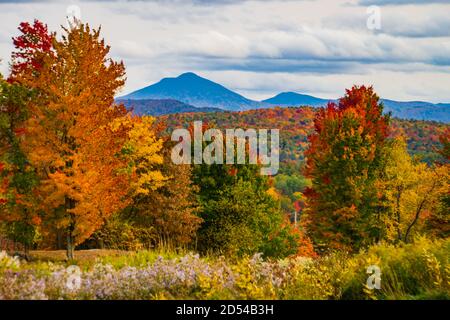 Vista di cammelli gobba Montagna in caduta delle foglie stagione, nel Vermont Foto Stock