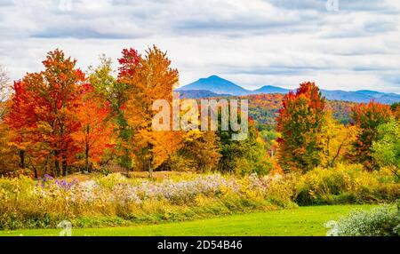 Vista di cammelli gobba Montagna in caduta delle foglie stagione, nel Vermont Foto Stock