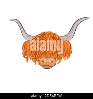 Longa viso yak isolato su sfondo bianco. Illustrazione Vettoriale