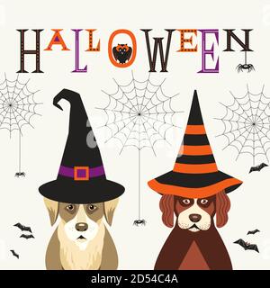 Carino cani in cappelli strega fantasia Halloween poster Illustrazione Vettoriale
