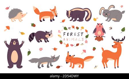 Insieme di animali carini della foresta su uno sfondo bianco isolato. Illustrazioni vettoriali per bambini Illustrazione Vettoriale