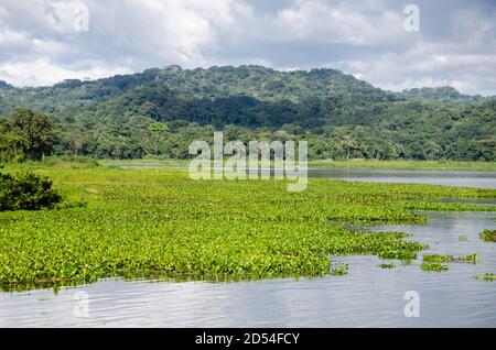 Sul Fiume Chagres e il Parco Nazionale di Soberania nella distanza Foto Stock