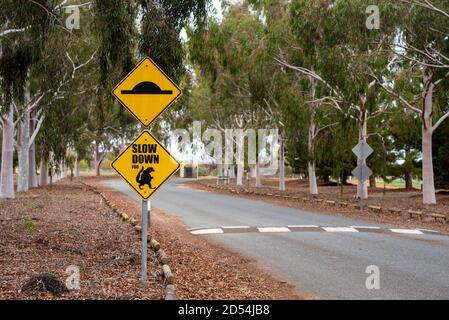 Rallenta per lucertole e gecko con il segnale della gobba di velocità nel nuovo Galles del Sud, Australia Foto Stock