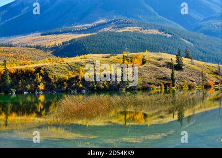 Una bella scena autunnale del fogliame colorato lungo il Riva sul crinale Sincline che si riflette nelle acque di Talbot lago nel Jasper National Park in Foto Stock