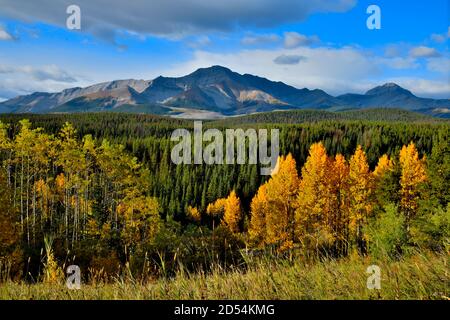 Una bella scena autunnale lungo l'autostrada 40 vicino Cadomin Alberta Canada. Foto Stock