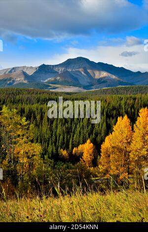 Una bella scena autunnale lungo l'autostrada 40 vicino Cadomin Alberta Canada. Foto Stock