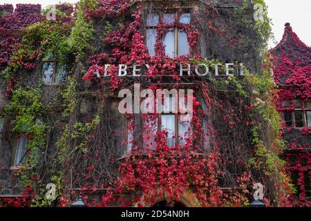 Autumnal Virginia Creeper / American Ivy on the Abbey Hotel in Great Malvern, Worcestershire, Inghilterra Foto Stock