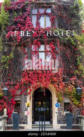 Autumnal Virginia Creeper / American Ivy on the Abbey Hotel in Great Malvern, Worcestershire, Inghilterra Foto Stock