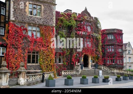 Autumnal Virginia Creeper / American Ivy on the Abbey Hotel in Great Malvern, Worcestershire, Inghilterra Foto Stock