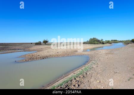Vista del fiume Georgina durante una siccità, Channel Country, vicino a Bedourie, Queensland, QLD, Australia Foto Stock