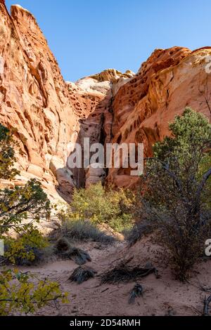 Captol Reef National Park all'alba Foto Stock