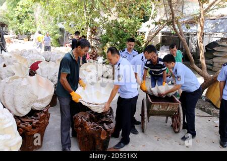 Haikou, Cina. 12 Ott 2020. Un caso criminale straordinariamente grave di acquisto, trasporto e vendita illegali di animali rari e minacciati e dei suoi prodotti è stato spaccato a Haikou, Hainan, Cina il 12 ottobre 2020.(Foto di TPG/cnsphotos) Credit: TopPhoto/Alamy Live News Foto Stock