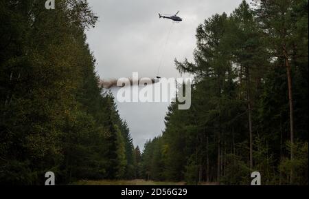Siedenholz, Germania. 12 Ott 2020. Un elicottero viene utilizzato per diffondere la calce di magnesio su un'area forestale. La calce è destinata a tamponare l'acidificazione del terreno. Credit: Philippe Schulze/dpa/Alamy Live News Foto Stock