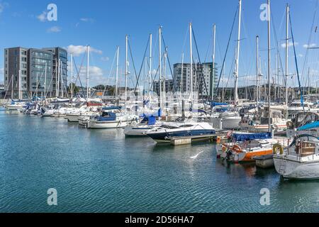 Porto di Sutton Marina a Plymouth, Devon Foto Stock