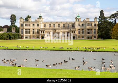 Prato, oche, fiume Granta di fronte a Audley End House and Gardens, Saffron Walden, Essex, Inghilterra, Regno Unito Foto Stock