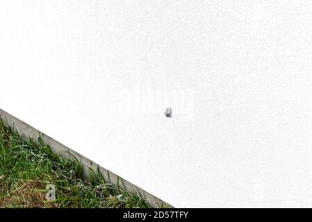 Una vite montata nella parete dell'edificio, utilizzata per fissare il morsetto per grondaia, fissato al fondo della parete. Foto Stock