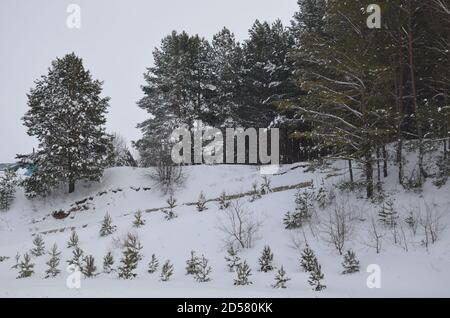 Fantastic evening winter landscape. Dramatic overcast sky. Creative collage. Beauty world. Foto Stock