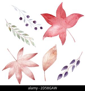 Collezione di acquerelli di foglie autunnali isolate su sfondo bianco. Caduta clipart. Illustrazione dipinta a mano per la scrapbooking fai da te. Foto Stock