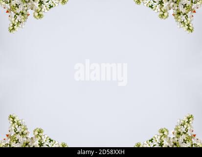 fiori , effetto visivo di uno specchio, spazio per l'inserimento del testo, carta da parati astratta, piena di colori, strani ornamenti e forme, sfondo con bella geo Foto Stock