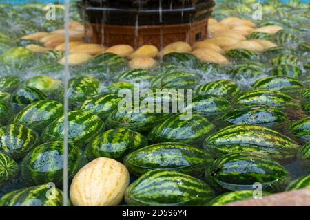 Molti cocomeri verdi galleggiano nell'acqua. Cocomero, melone bagnato, mercato per le verdure mature dalla fattoria. Raccolta di meloni e zucche. Foto Stock