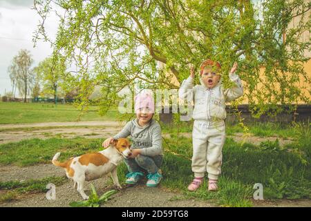 Due ragazze che giocano con jack russell nel parco Foto Stock